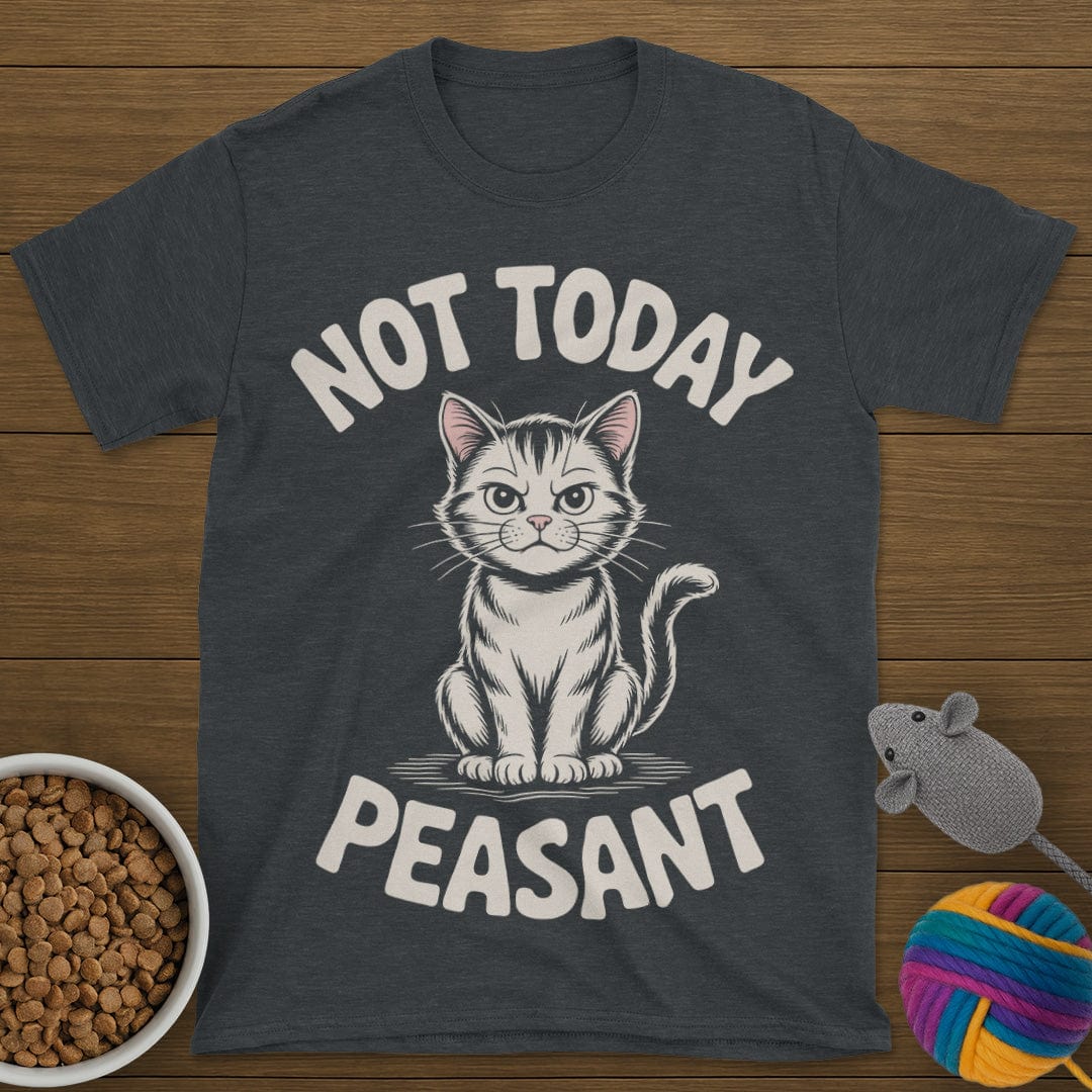 Not Today Peasant Cat T-Shirt