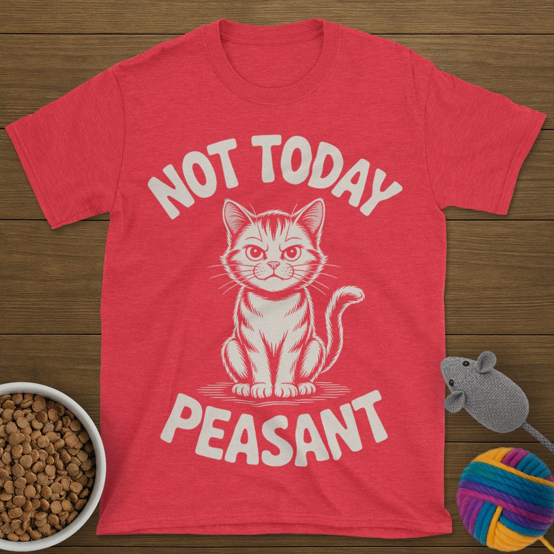 Not Today Peasant Cat T-Shirt