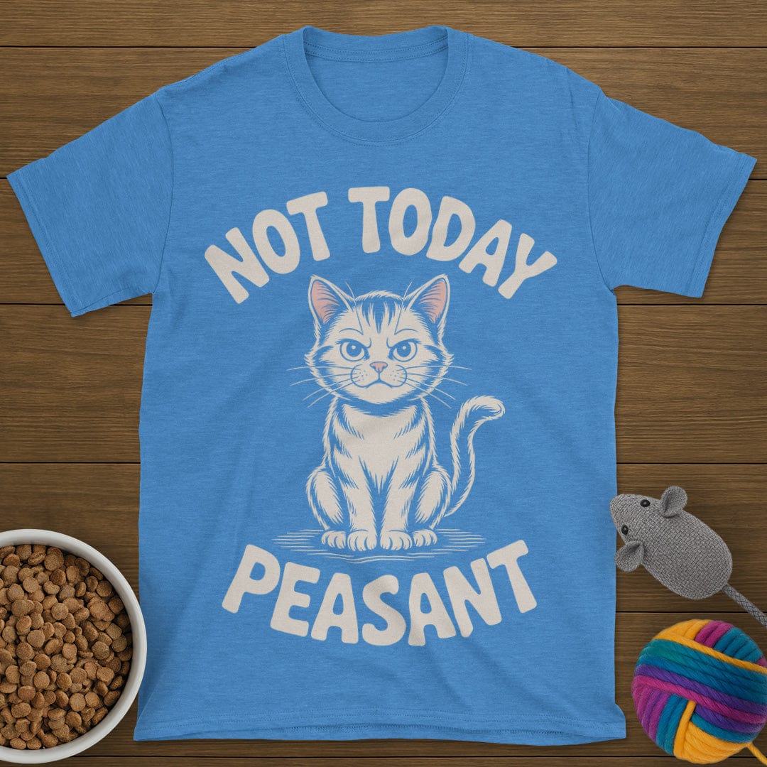 Not Today Peasant Cat T-Shirt