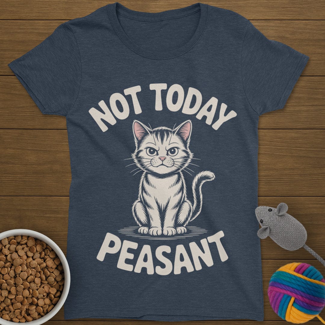 Not Today Peasant Cat T-Shirt Womens