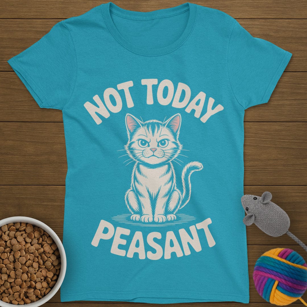 Not Today Peasant Cat T-Shirt Womens