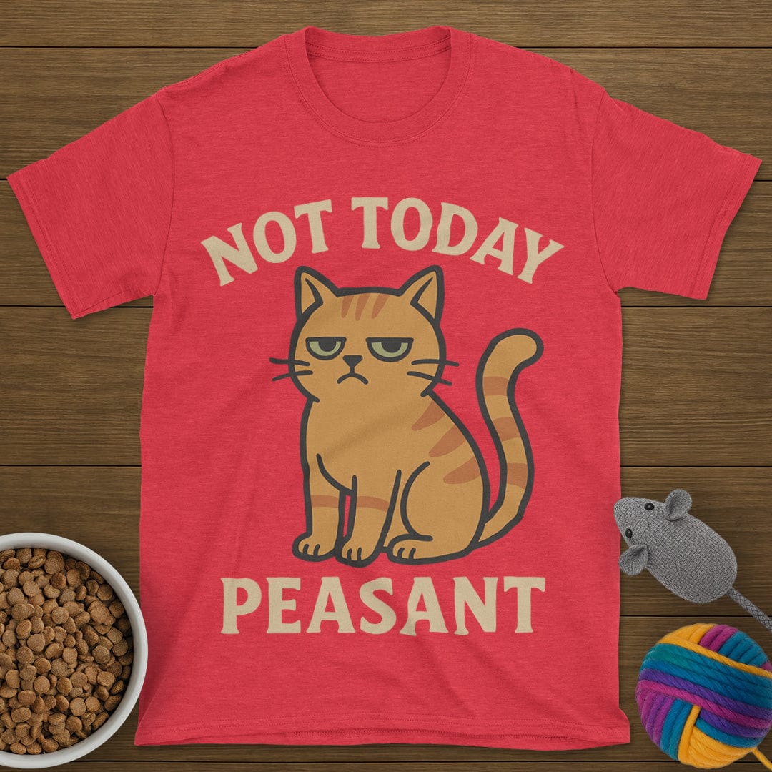 Not Today Peasant Funny Cat T-Shirt