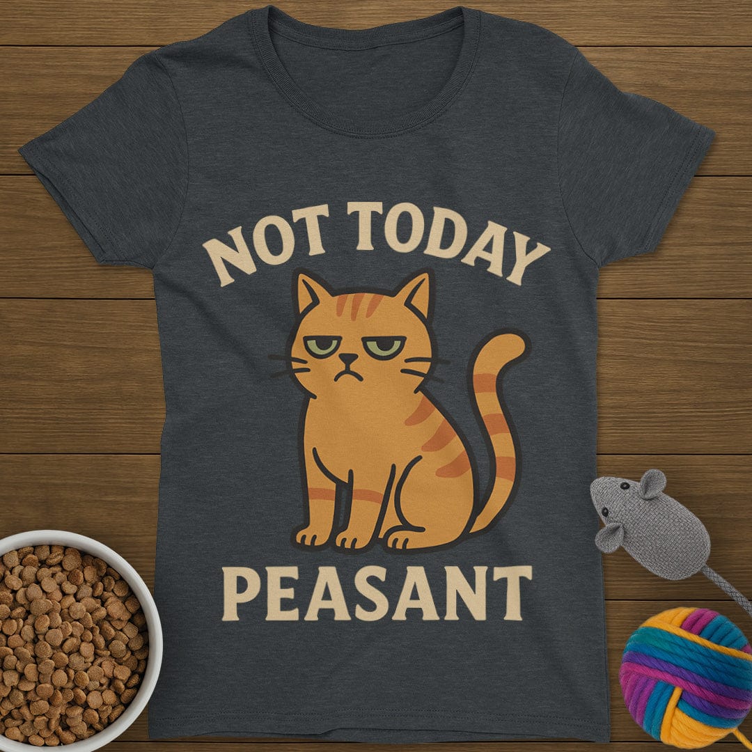 Not Today Peasant Funny Cat T-Shirt Womens