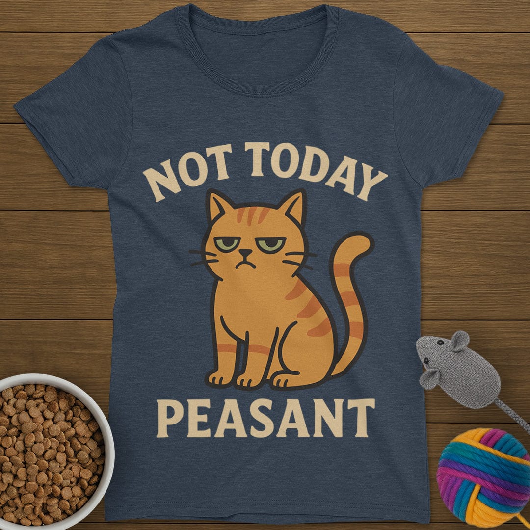 Not Today Peasant Funny Cat T-Shirt Womens