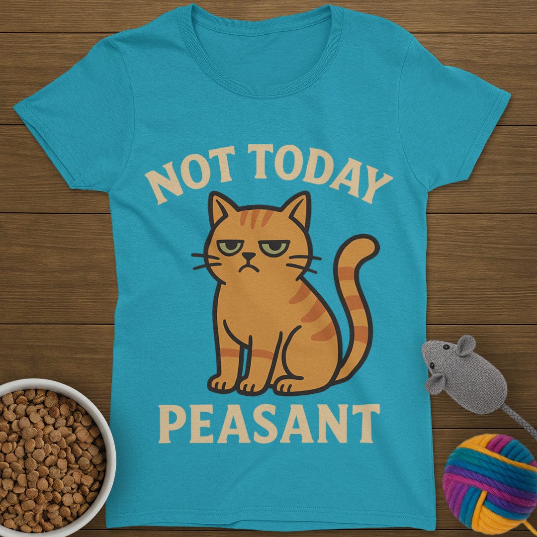 Not Today Peasant Funny Cat T-Shirt Womens